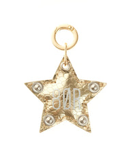 Plush Star Keychain