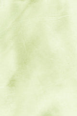 Dance Date Mini Dress Lime